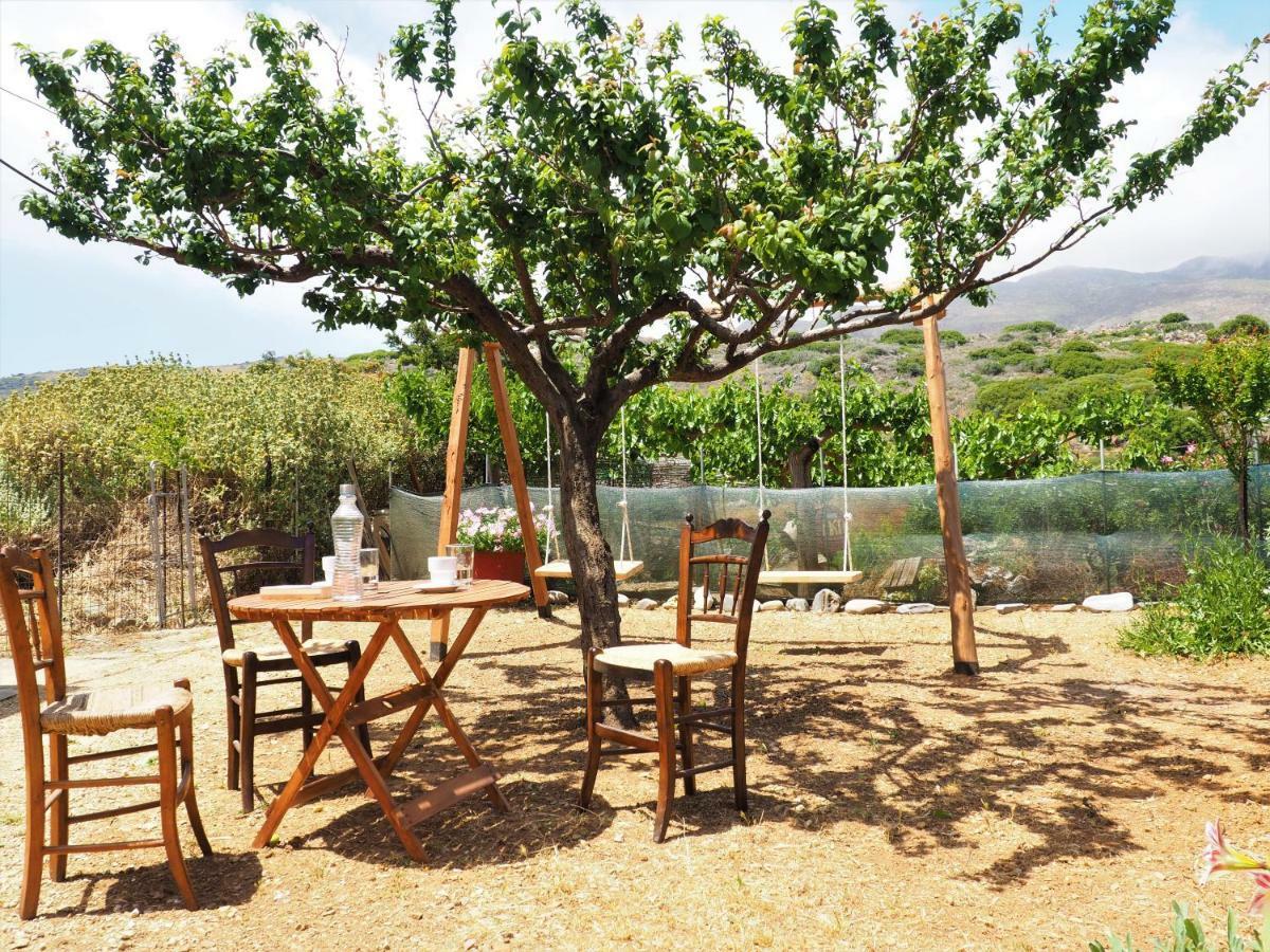 Traditional Cretan Villa Rodhopos Extérieur photo